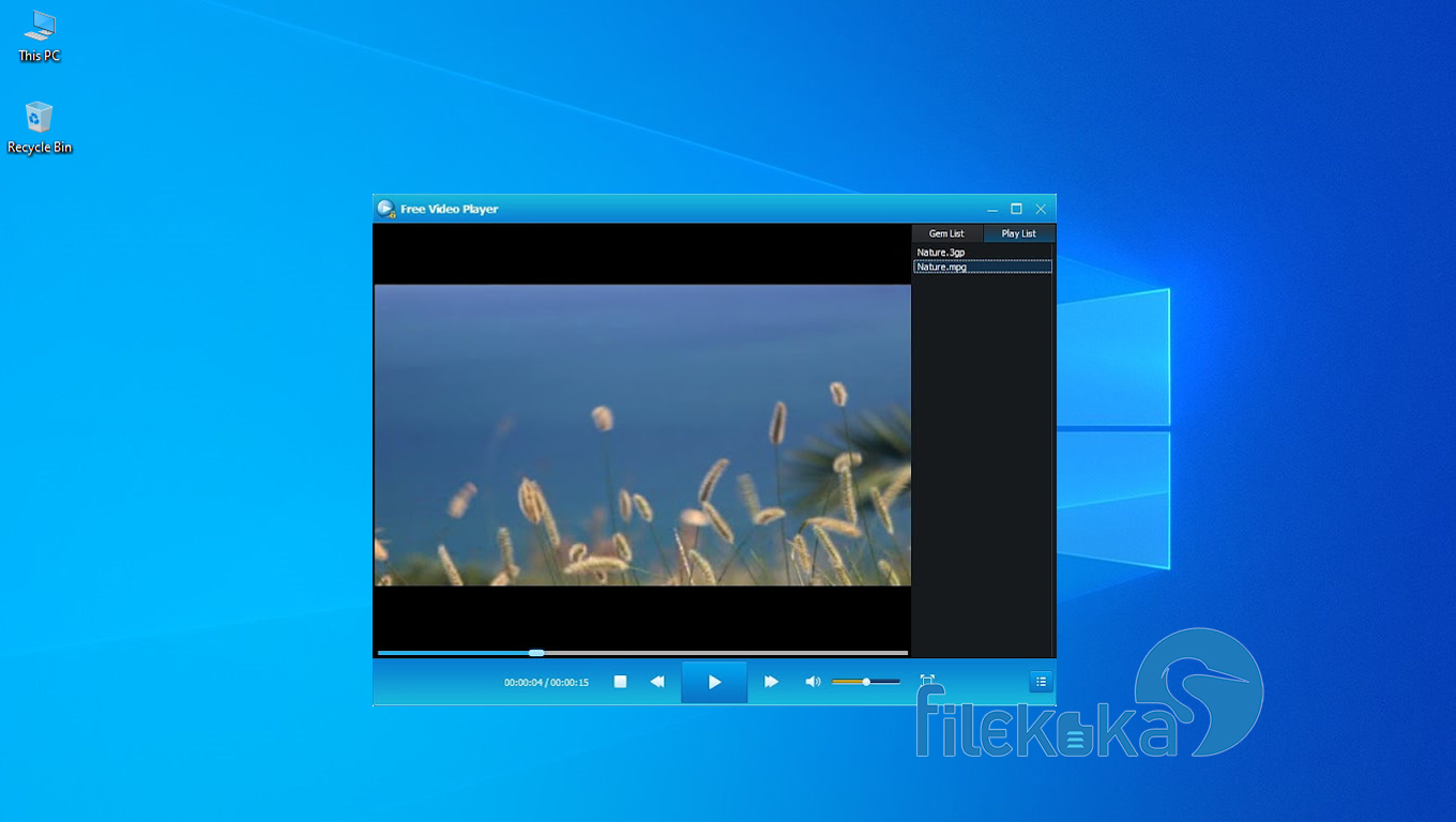 Gilisoft Free Video Player